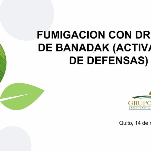 Exitosa culminaci&oacute;n del Diplomado en gesti&oacute;n de empresas