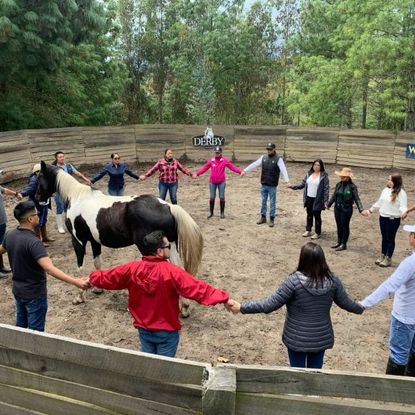 Coaching ecuestre, una experiencia de aprendizaje para l&iacute;deres