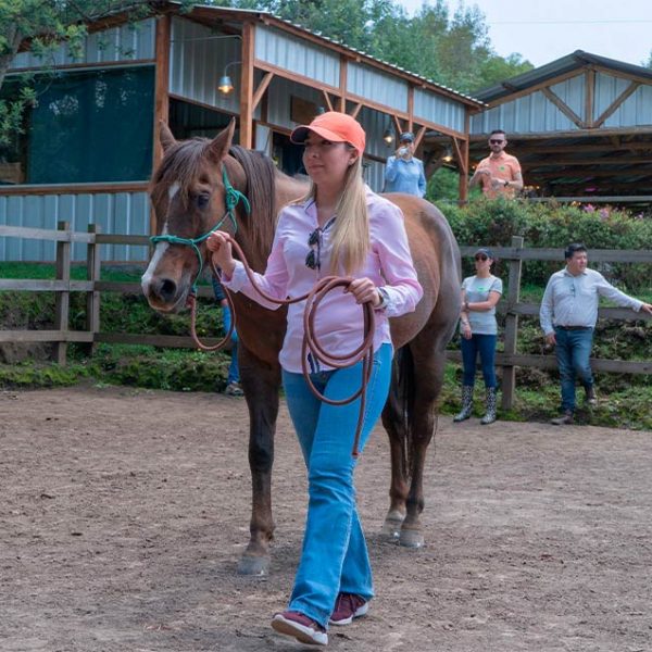 Coaching ecuestre, una experiencia de aprendizaje y conexi&oacute;n con la naturaleza