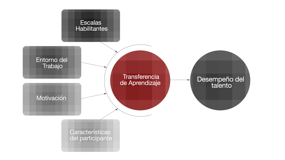 TransferenciaAprendizaje4 TransferenciaAprendizaje4
