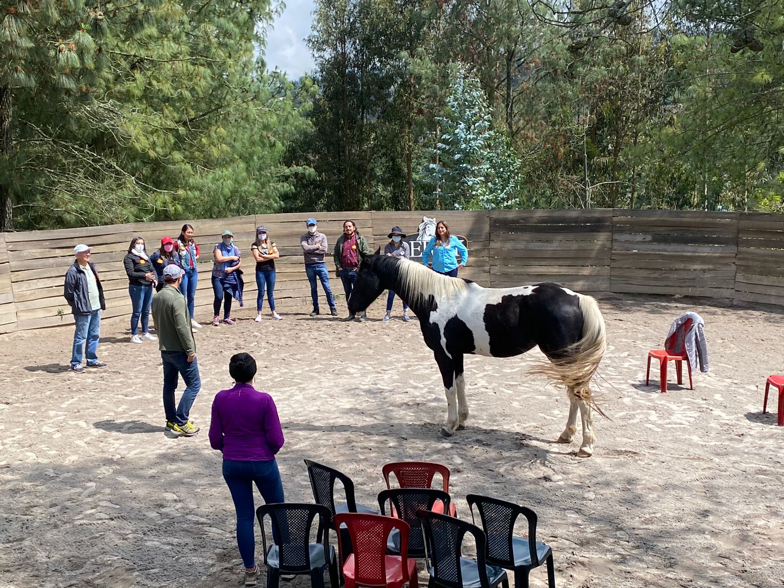 WhatsApp Image 2021-12-14 at 13.05.19