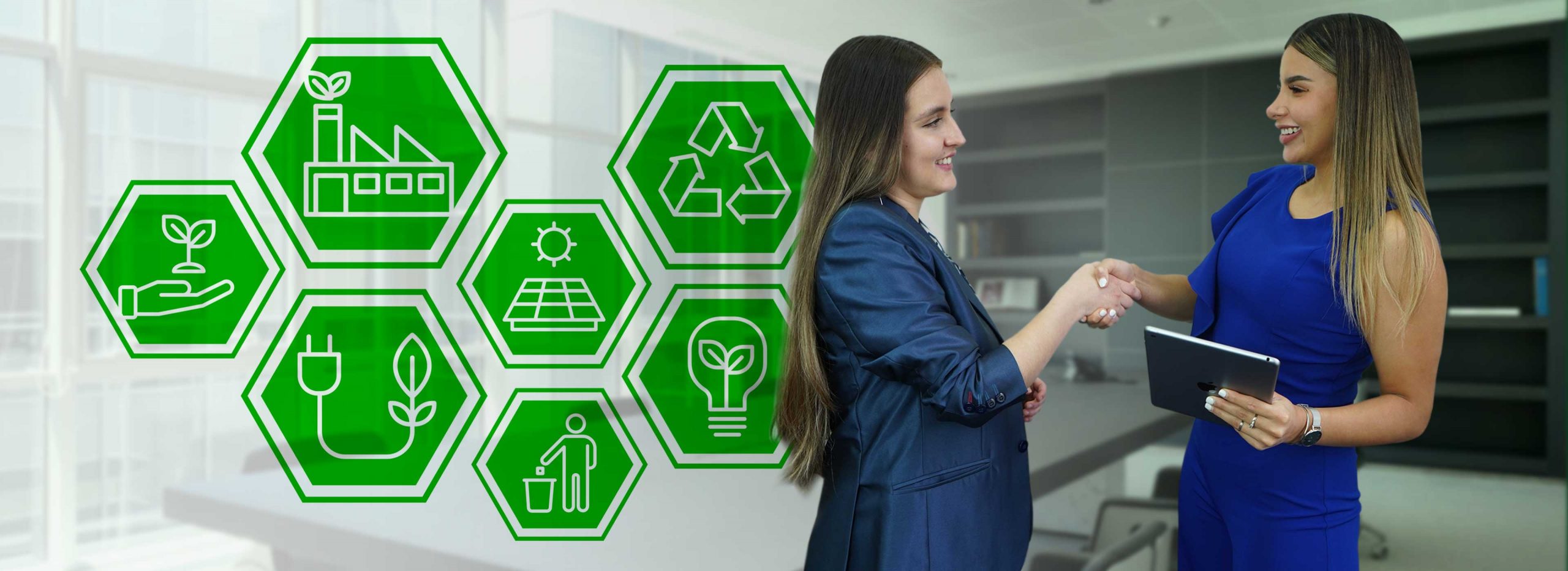 Imagen-base_Negocios-sotenibles